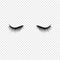 Black eyelashes. False eyelashes. Vector illustration isolated on transparent background