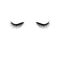 Black eyelashes isolated on white background. False eyelashes. Vector illustration