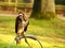 Black falcon sitting on a piece of metal behind a green field