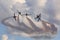 `Black Falcons` aerobatic group performing close maneuvers in T-6 Texan II planes