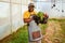 Black farmer holding crate full of vegetables in greenhouse, smiling