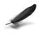 Black Feather