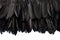 Black feathers border background on white, clipping path