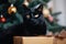 Black feline with large gift box on Christmas tree background close up.