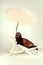 Black ferret portrait on beach chair in studio