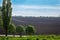 Black fertile soil on a sprinkled spring field. Landscape