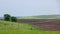 Black fertile soil on a sprinkled spring field. Landscape