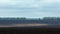 Black fertile soil on a sprinkled spring field. Landscape