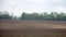 Black fertile soil on a sprinkled spring field. Landscape