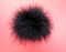 Black fluffy feather ball on pink background