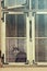 Black fluffy grumpy cat sit in old vintage window with curtain vintage colored photo.