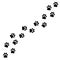 Black footprints of dogs. Paw print, animal tracks - vector