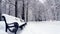 Black forged benches covered with snow in winter park. White snowy empty pathway