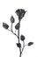 Black forged iron rose
