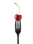 Black fork with a red cherry berry with water drops isolated on white background