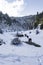 Black free horses at Ziria mountain. Fir trees covered with snow on a winter day, South Peloponnese, Greece