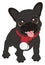 Black french bulldog with red scarf