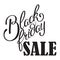 Black Friday Sale Calligraphic Design.