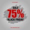 Black Friday sale inscription best design template. Black Friday