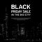 Black Friday Sale Poster on Big City Background. New York. Vector illustration