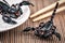 Black fried scorpion and chopstick