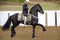 Black Friesian Horse