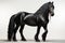 Black friesian stallion in studio