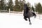 Black Frisian horse running on manege in Romanian countryside farm