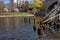 Black Gannets in Charles River and Lechmere Viaduct in Boston