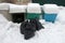 Black garbage bags in the trash in the snow