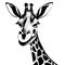 Black giraffe on a white background. Animal line art. Logo design, for use in graphics.