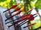 Black glass fibre archery crossbow bolts with plastic colour vanes on house-made practice target in private backyard garden