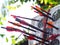 Black glass fibre archery crossbow bolts with plastic colour vanes on house-made practice target in private backyard garden