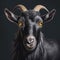 Black goat close up head portrait over dark background. Generative AI realistic illustration