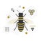 Black and golden top view flying honey bee icon with signs and symbols