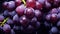 black grapes background generated by AI tool