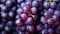 black grapes background generated by AI tool