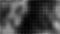 Black and gray halftone background animation. Abstract halftone dotted animation.