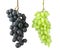 Black and green grape on white background. Two grape bunches hanging in the air