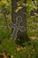 Black with grey rim mosaic Orthodox cross on an old autumn cemetery.
