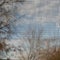 black grid with small cells on the background of the autumn sky, sky and tree in defocus, texture and background