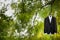 Black groom suit hanged