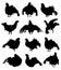 Black Grouse isolated silhouette set in vector