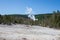 Black growler steam vent at Norris Geyser Basin in summer, Yellowstone National Park Wyoming hot springs