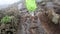 A black guy crosses small streams over the stones. Rain and bad weather in the mountains. Climbing Kilimanjaro, Tanzania, Africa.