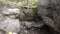 A black guy with a large backpack climbs up a rocky mountain path. View from the back to the legs.