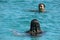 Black hair mexican latina girl swimming in crystal sea waters