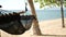 Black hammock stretching between coconut palms. Mesh vintage hipster hammock with fringe on edges stretched on sandy