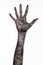 Black hand of death, the walking dead, zombie theme, halloween theme, zombie hands, white background, mummy hands