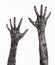 Black hand of death, the walking dead, zombie theme, halloween theme, zombie hands, white background, mummy hands